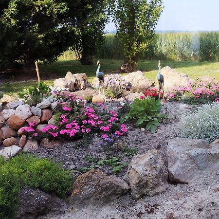 Domaine De La Pendule Bed & Breakfast Issel Dış mekan fotoğraf
